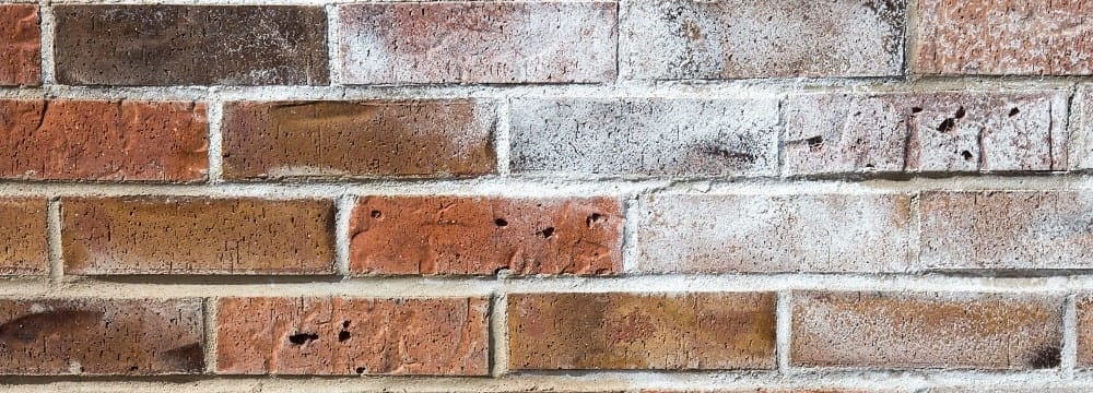 Eflorescência: como identificar e eliminar as manchas brancas em paredes e pisos